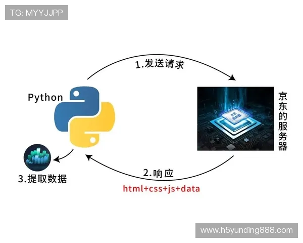 掌握在线网页轮盘游戏的基本规则与策略新手快速入门指南