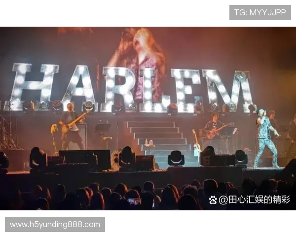 马来西亚云顶演唱会现场氛围与观众互动体验分享